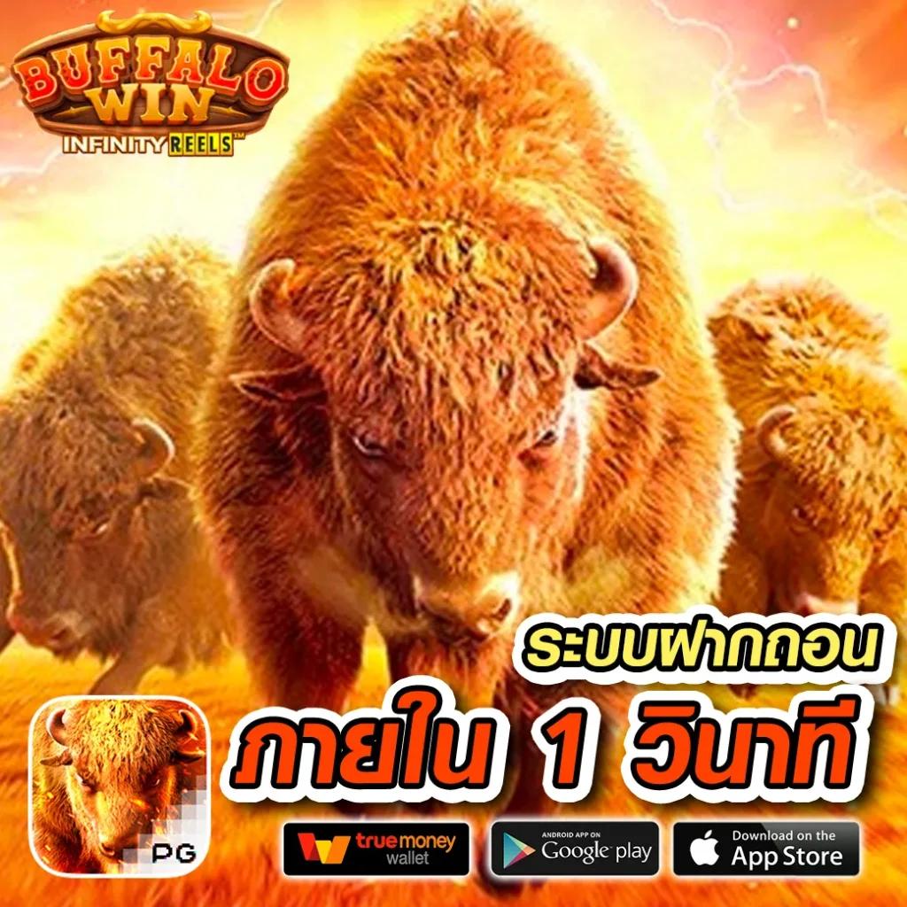 slot1bet คาสิโนสด สุดพรีเมียม ปลอดภัย 100% เล่นง่าย